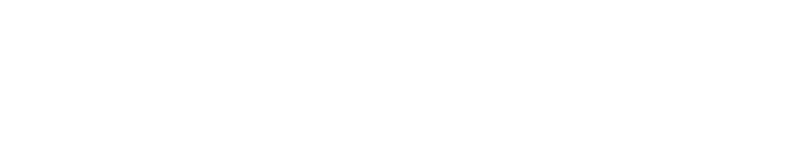 Denso logo